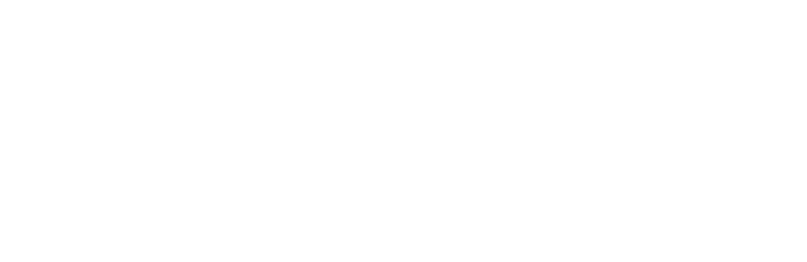 B-LIGHT